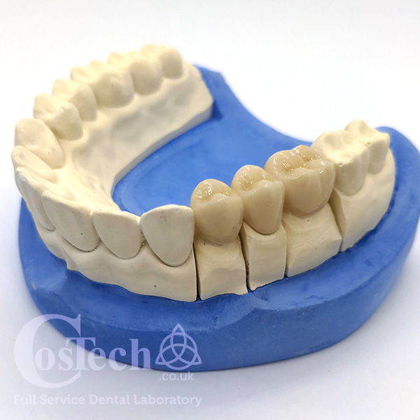 costech demo model cb24 image