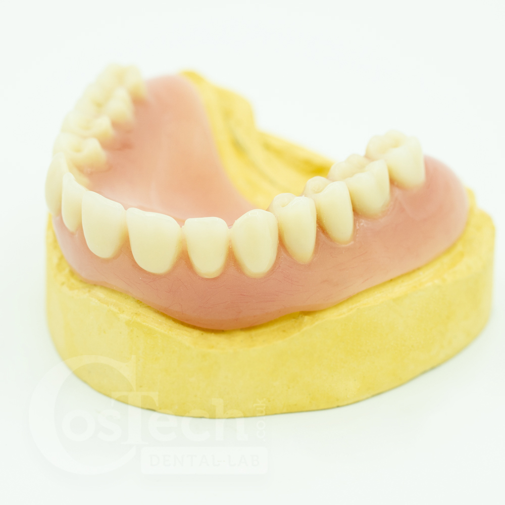 Demo Model - Upper Full Denture