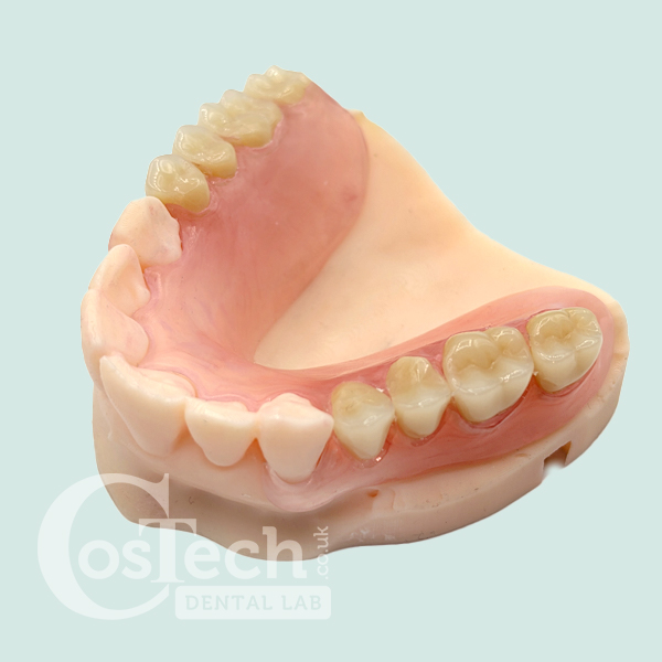Demo Model – Flexible Partial Denture